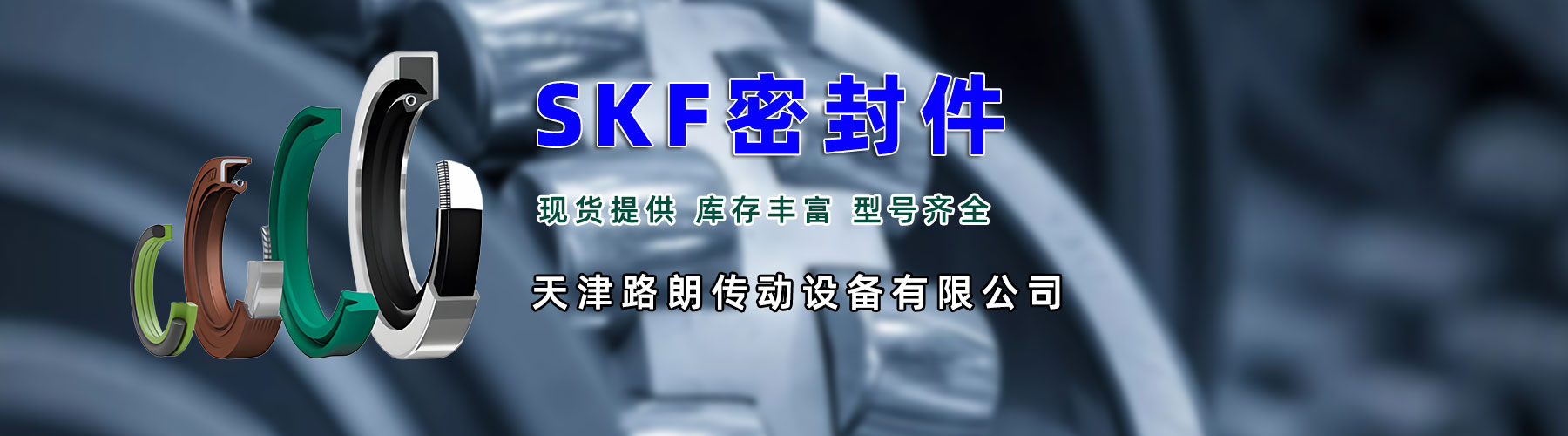 SKF密封件